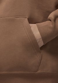 Jordan Sweatshirt com capuz - archaeo brown