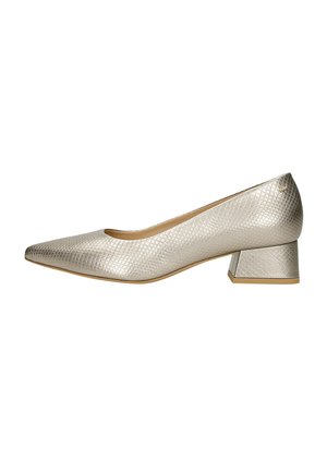 Lichtmetalen zilveren pumps met een textuur en reliëfpatroon, spitse neus en een korte blokhak. Klassiek ontwerp dat geschikt is voor verschillende gelegenheden.