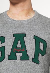 Close-up van een persoon die een grijze gebreide trui draagt met grote groene letters "GAP" en het kleine rode geborduurde woord "Original" in het midden op de borst.