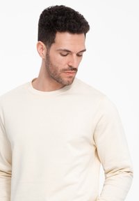 Felpa beige a girocollo in un tessuto morbido, con maniche lunghe e una vestibilità comoda. Design semplice senza motivi o embellishments.