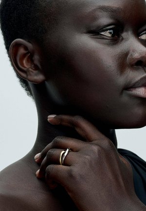 Pandora ENTWINED BANDS - Ring - sterling silver and gold plated