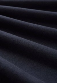 TOM TAILOR DENIM BASIC MIT LOGO PRINT - Mikina - sky captain blue