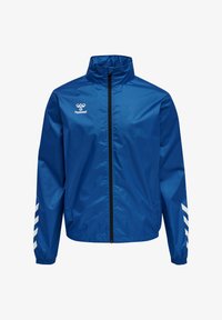 Non sélectionné, true blue