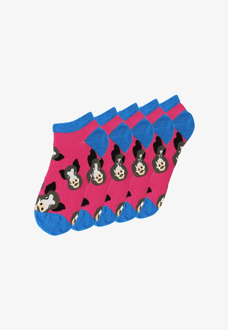 Sei paia di calzini rosa alla caviglia con talloni e punte blu, decorati con un motivo ripetuto di facce di cani carini.