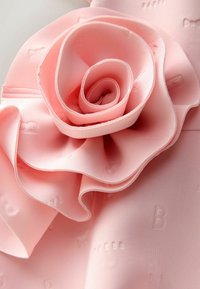 Rosa Stoff mit einem 3D-Rosenmotiv, featuring einer glatten Textur sowie erhabenen Buchstaben und Schleifen. Das Material wirkt weich und fließend.