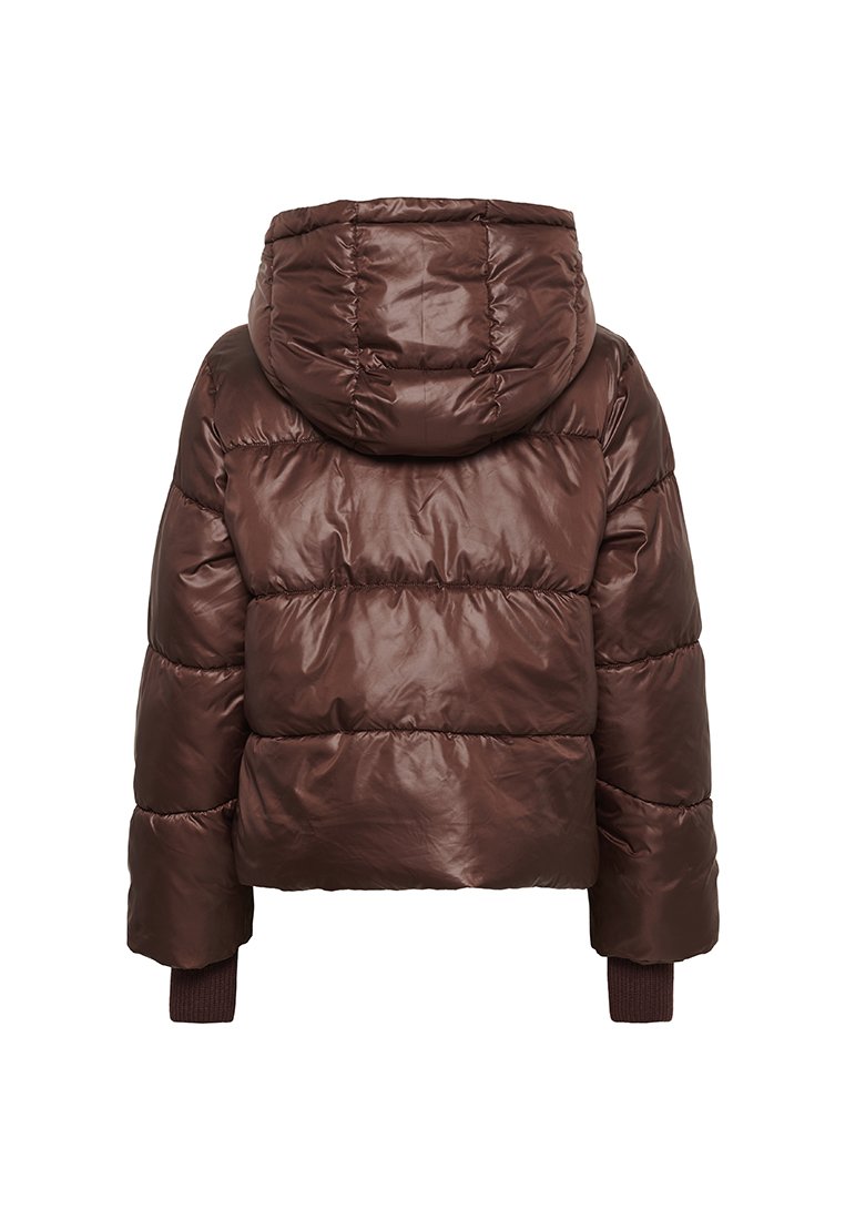 Braune Pufferjacke mit Kapuze, die gesteppte Abschnitte, elastische Bündchen und eine glänzende, glatte Oberfläche aufweist. Kurzes, tailliertes Design.