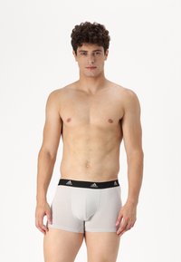 adidas Sportswear ACTIVE FLEX TRUNK UNDERWEAR - Trumpikės - assorted