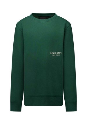 Cars Jeans, SWEATER BRAMIE JR. - Sweater - green