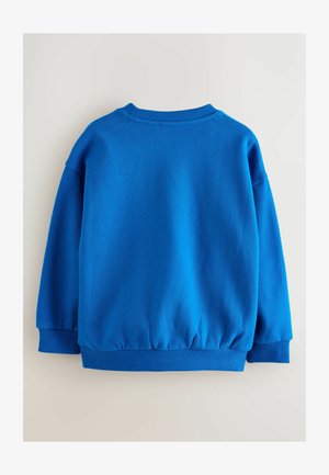 Blauer Pullover-Sweatshirt aus weichem Material, mit Rundhalsausschnitt, langen Ärmeln und elastischem Saum. Glatte Textur, einfarbig.