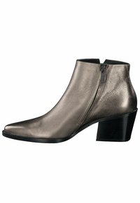 Kovově stříbrná kotníková bota s špi�čatou špičkou, středovým zipem a pevným, blokovým podpatkem. Hladká textura a elegantní design.