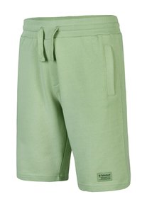 Hellgrüne Baumwollshorts mit einem elastischen Bund, verstellbarem Kordelzug, seitlichen Taschen und einem kleinen Etikett am unteren Saum.
