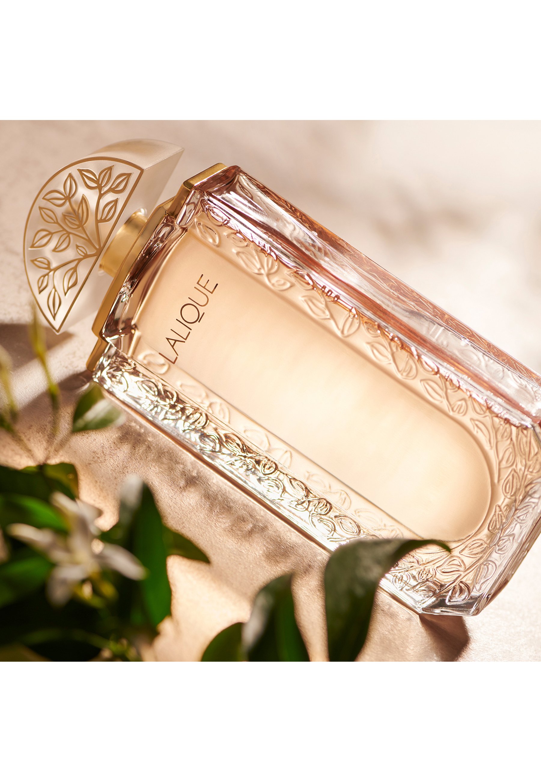Lalique LALIQUE DE LALIQUE EDP - Eau de parfum - Zalando.nl