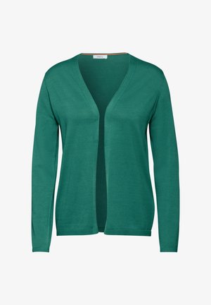 Grüne Strickjacke mit V-Ausschnitt, langen Ärmeln, aus weichem Strickmaterial, mit offenem Vorderteil ohne Verschlüsse.