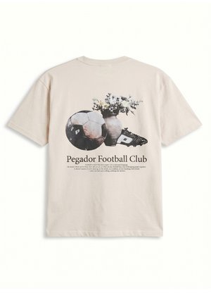 Pegador, GALTELLI OVERSIZED TEE - Μπλουζάκι με στάμπα - washed cream