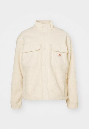 Dickies, BUILT UP MOUNT HOPE - Χειμωνιάτικο μπουφάν - whitecap gray