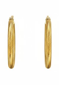 Coppia di orecchini a cerchio in tono dorato con una texture a corda attorcigliata e chiusure a cerniera per il fissaggio.