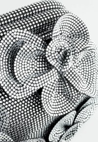 Next CORSAGE - REGULAR FIT - Clutches - silver coloured