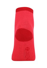 ZIGZAG 3 PACK - Strømper - crimson