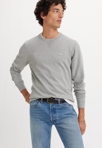 Gray long-sleeve sweatshirt with ribbed neckline, casual fit, worn with blue jeans and a braided black belt. Small logo on left chest.