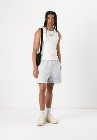 Pal Sporting Goods RIVER RATS DOUBLE UNISEX - Šorti - mottled light grey