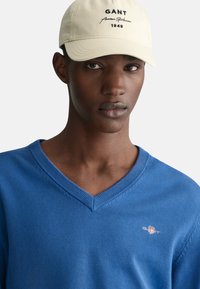 Blauer V-Ausschnitt-Pullover mit strukturierter Strickware und dezentem Logo auf der Brust, getragen mit einer hellen Mütze mit gesticktem Text und Logo.