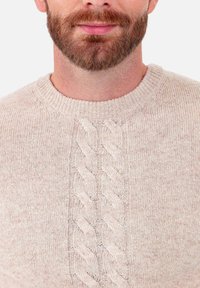 Beiger Strickpullover mit Rundhalsausschnitt und strukturiertem Muster in der Mitte. Weiches, leichtes Material mit dezenter Mischung.