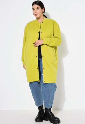 Kvinde iført en limegrøn lang jakke, blå jeans, sorte støvler, med sort hår bundet tilbage, stående mod en hvid baggrund.