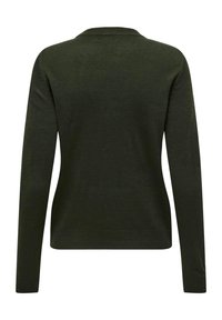 Pull en maille vert foncé à manches longues avec poignets et ourlet côtelés, vu de dos.