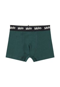 Molo JUSTIN BOTTOM 2 PACK - Boxeri - ponderosa mix