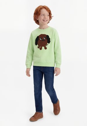 Mini Rodini DOGGIE CHENILLE UNISEX - Φούτερ - green