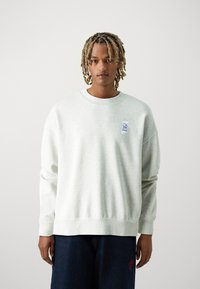 Replay M9Z1 SWEATER - Felpa - ash grey