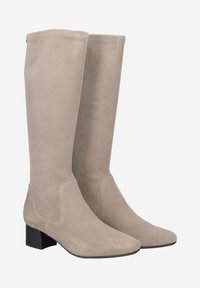 Bottes en daim beige jusqu'au genou avec un talon carré, texture lisse et détails de couture minimal le long de la couture. Design à bout rond.