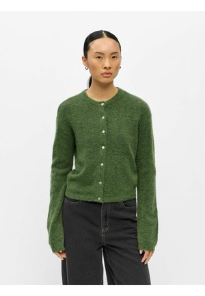 Jeune femme aux cheveux foncés attachés en queue de cheval basse porte un cardigan vert boutonné et duveteux ainsi qu'un jean foncé sur un fond blanc uni.