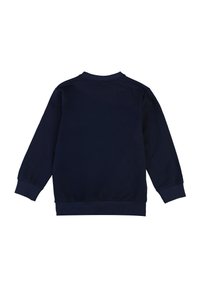 Felpa blu navy con maniche lunghe, scollo rotondo, polsini e orlo a costine, realizzata in morbido cotone, texture liscia senza fantasie.