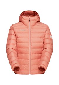 Mammut WAYMARKER IN HOODED - Dunjacka - quartz dust