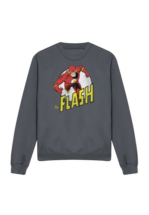 Cotton Soul, DC FLASH RUN FLASH RUN - Sweatshirt - anthracite
