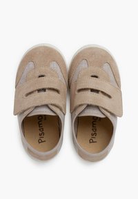 Pisamonas Trainers - arena
