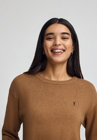 Brauner Strickpullover mit Rundhalsausschnitt und geripptem Saum, mit einem kleinen dunkelblauen Logo auf der linken Brust. Glatte Textur, lockere Passform.
