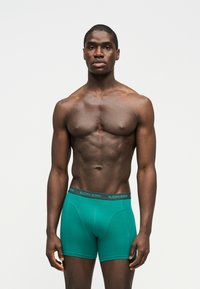 Μυώδης άντρας που στέκεται όρθιος, φορώντας πετρόλ μποξεράκια με μαύρη ζώνη στη μέση με το λογότυπο "BJÖRN BORG", σε ένα απλό ανοιχτόχρωμο φόντο.