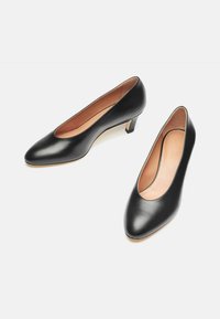 Zapatos de tacón negros de cuero con punta afilada y tacón bajo de bloque. El interior es de color marrón claro, con una textura suave y un diseño discreto.