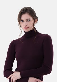 Burgunderfarbener Rollkragenpullover mit langen Ärmeln, taillierter Passform, glatter Textur und minimalen Nahtdetails.