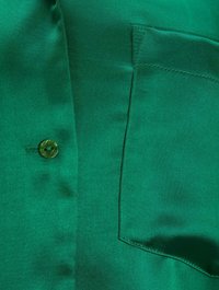 JJXX JXEVA COMFORT SHIRT - Camicia - jolly green