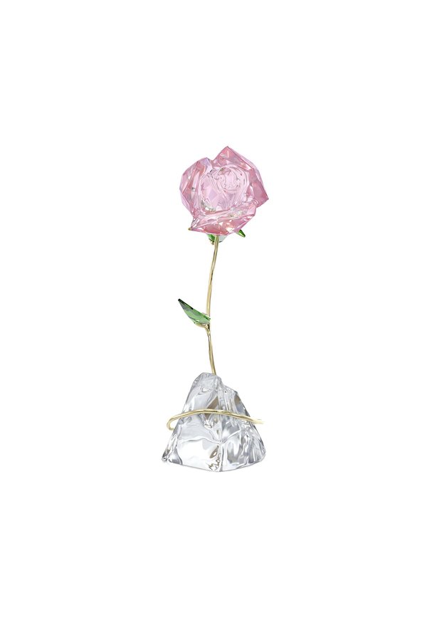 FLORERE ROSE - Sonstige Accessoires