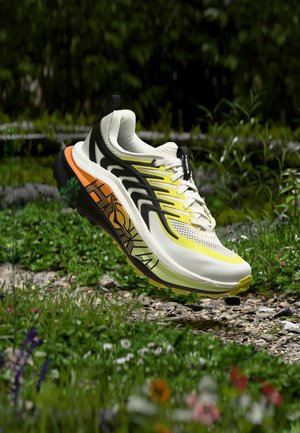 HOKA STINSON 8 - Παπούτσια για τρέξιμο σε μονοπάτια - frost / black