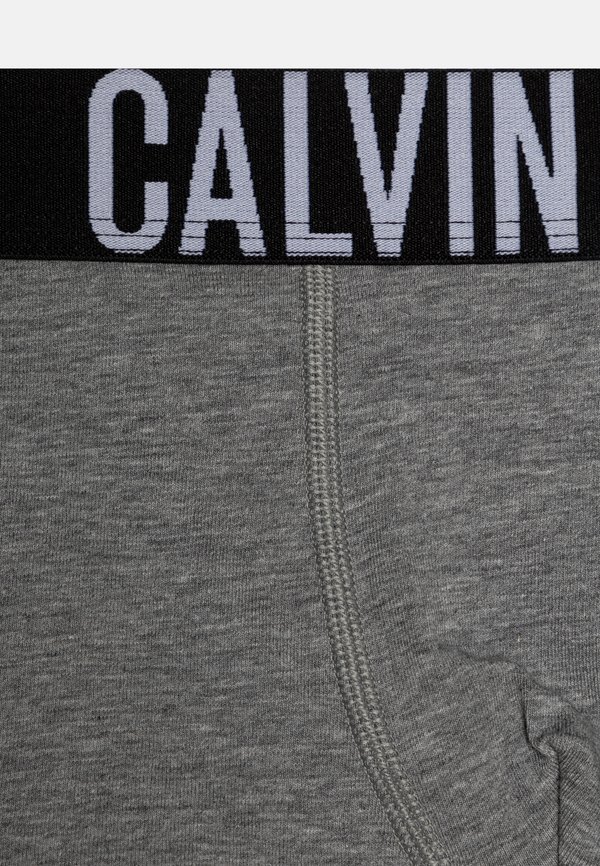 TRUNK 3 PACK  - Pants4