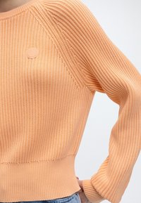 Κοντινό πλάνο ενός ατόμου που φοράει ένα ριπ πλεκτό πουλόβερ χρώματος ροδάκινου με στρογγυλό λογότυπο στο στήθος και μπλε τζιν.