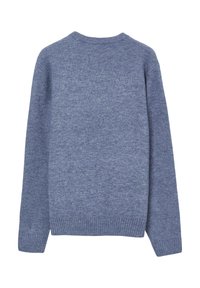 Blauer Strickpullover mit Rundhalsausschnitt und gerippten Bündchen. Weiche Textur, einfarbig und lässige Passform ohne sichtbare Muster oder Beschläge.