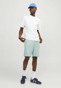 Jack & Jones JPSTKANE VESTERBRO - Pantalones deportivos - skylight