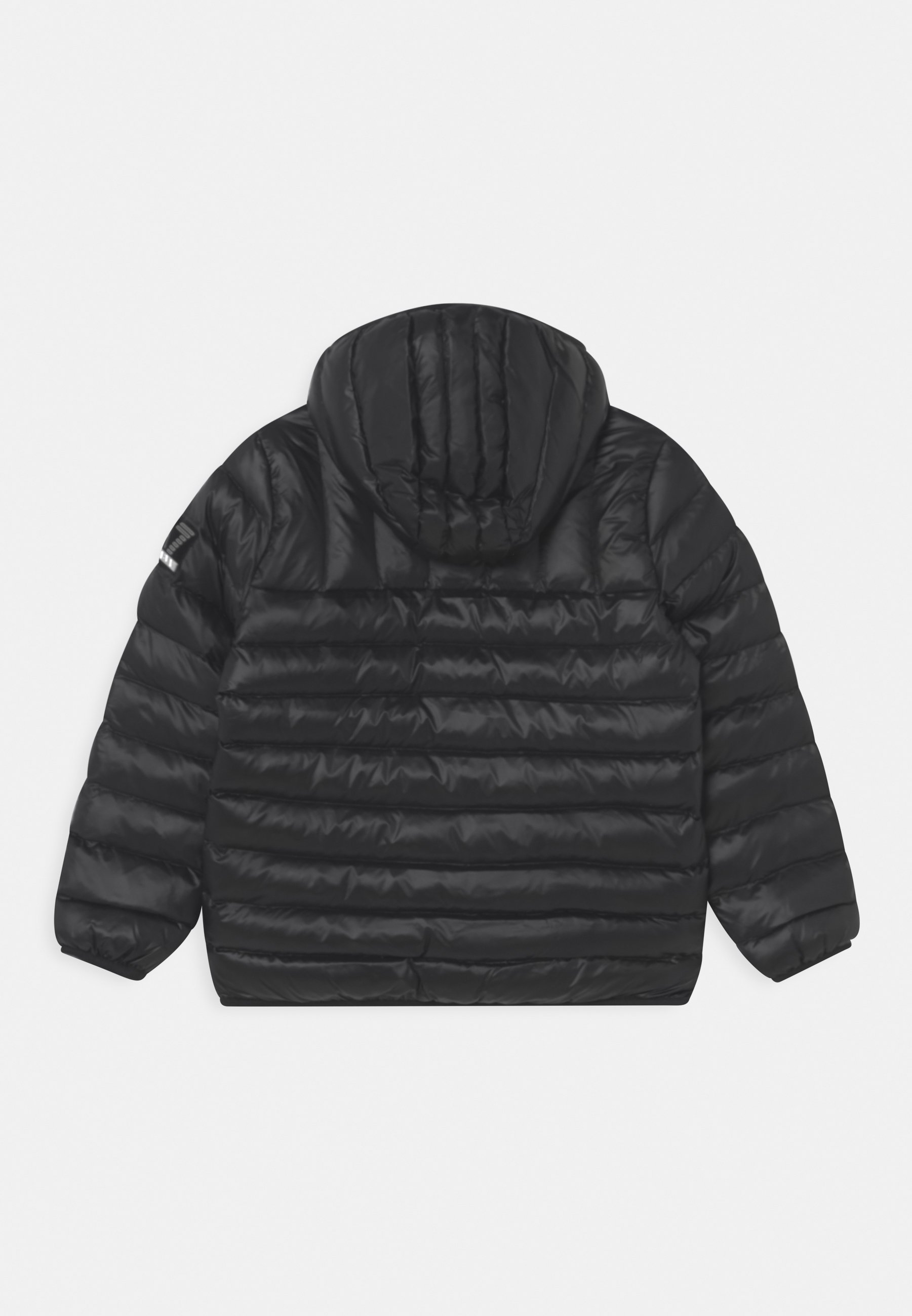 EA7 Emporio Armani GIUBBOTTO - Giacca invernale - black/nero - Zalando.it