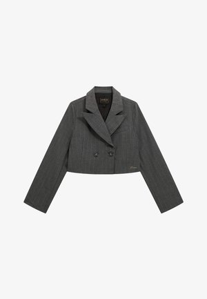 Blazer grigio a righe sottili, tagliato, con design doppiopetto, ampio colletto a punta e due bottoni. Presenta un dettaglio logo discreto.